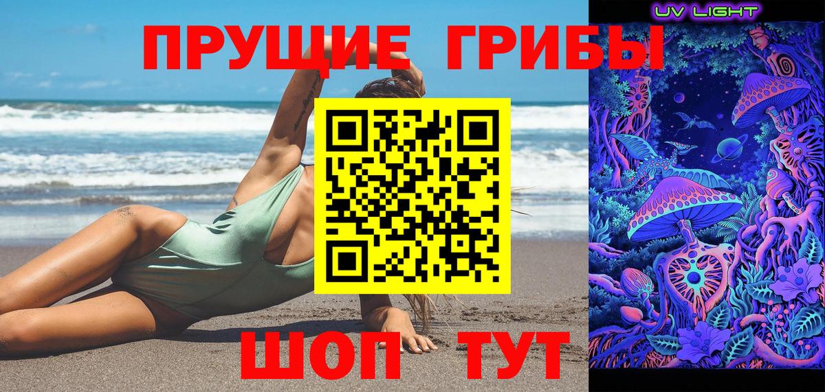 Малгобек  Псилоцибиновые грибы мухоморы  Вход с VPN 